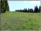 foto Panorama dal Monte Verena